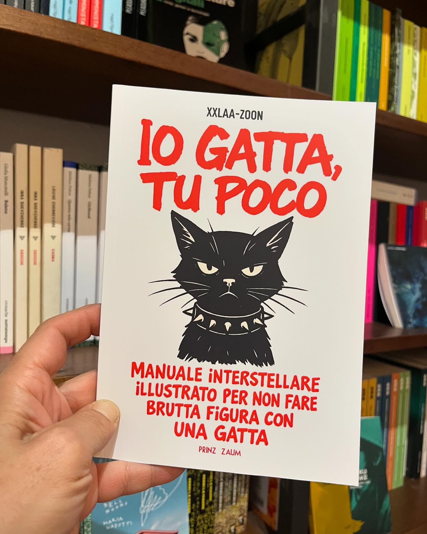Io gatta. Tu poco. Manuale interstellare illustrato per non fare brutta figura con una gatta